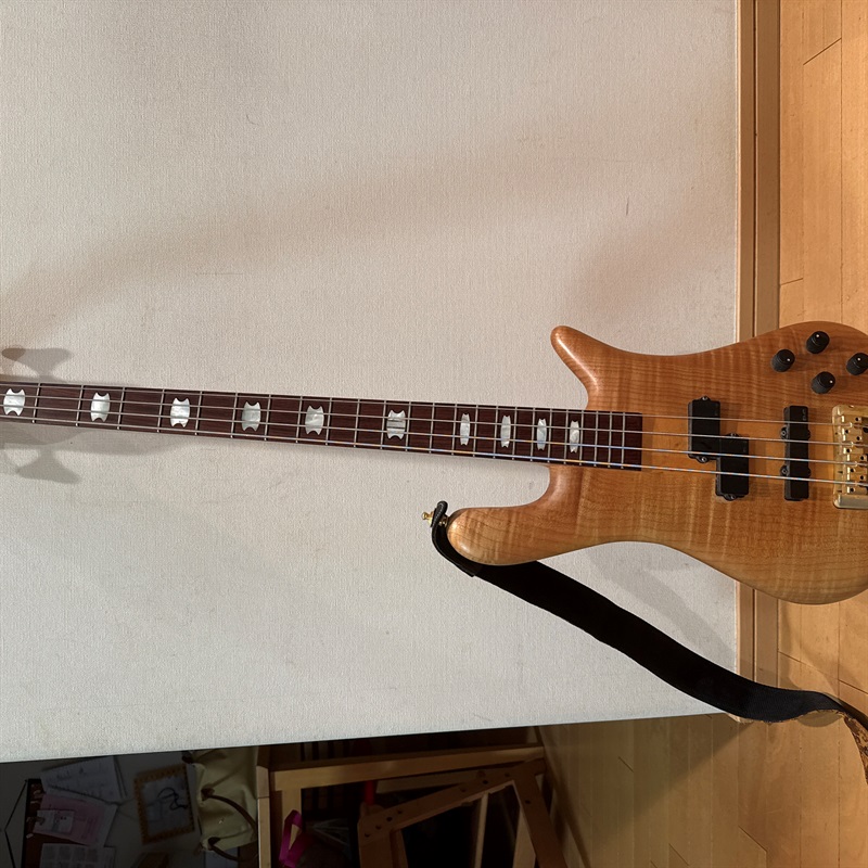 SPECTOR NS-2Cの画像